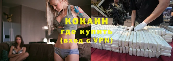 гашик Аркадак