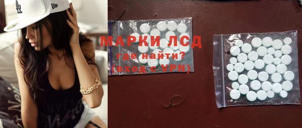гашик Аркадак