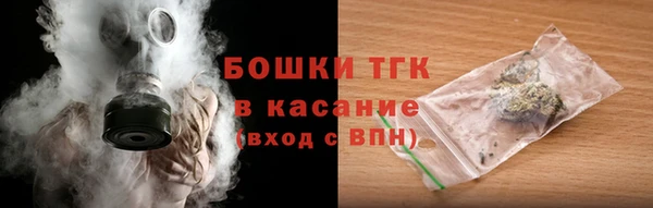 гашик Аркадак