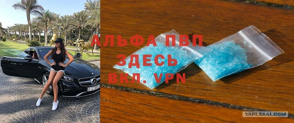 гашик Аркадак