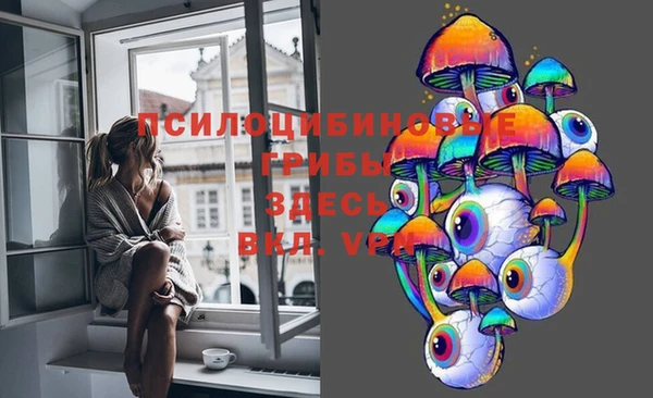 гашик Аркадак