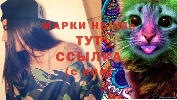 гашик Аркадак