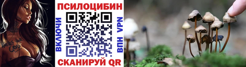 продажа наркотиков  Семикаракорск  Галлюциногенные грибы Psilocybine cubensis 